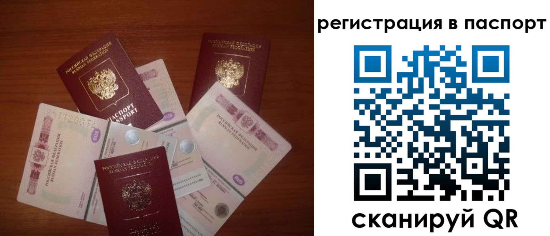временная регистрация поиск в Железногорске